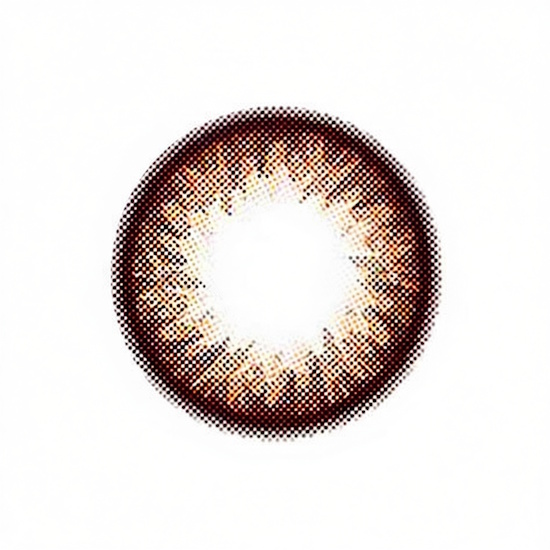 GEOLICA HoliCat Lovely Cat Choco Color GEOLICA HoliCat Lovely Cat Choco Color