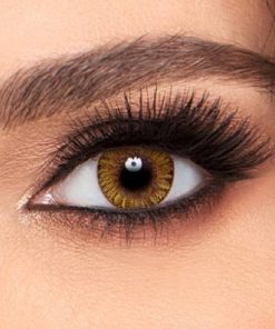 FreshLook One Day Pure Hazel Coloured Lens