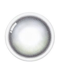 Olens Eyelighter Glowy Ash Gray Monthly